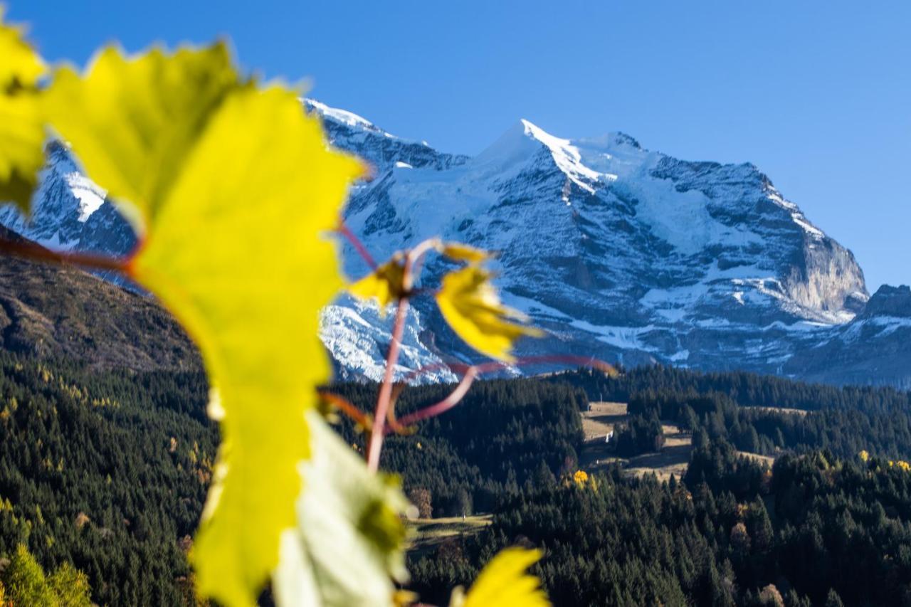 Chalet Aargovia South Wengen Exterior photo