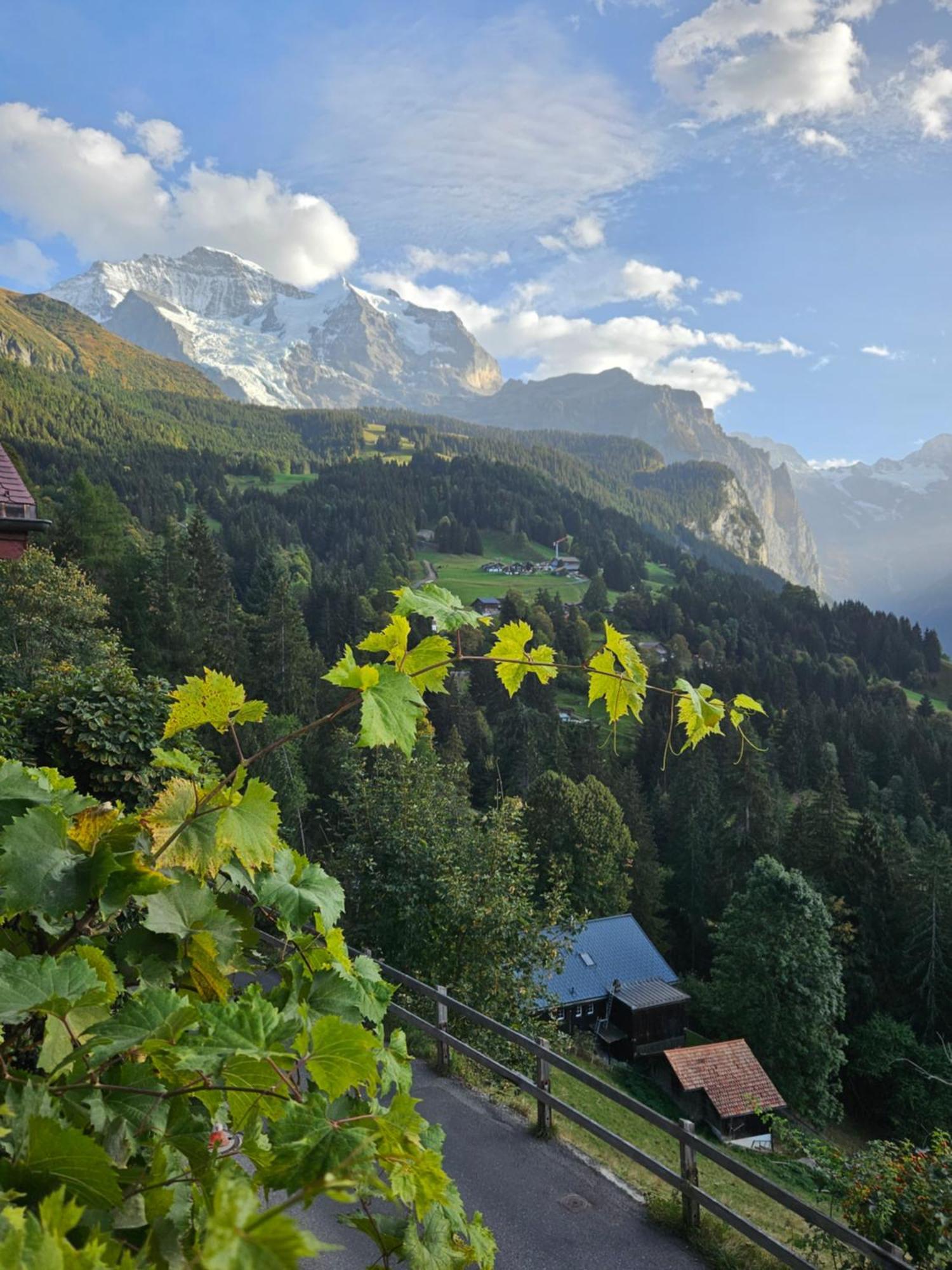 Chalet Aargovia South Wengen Exterior photo